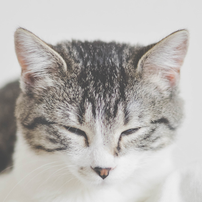 傳統行業的信息化需要盡早做好規劃， 企業普遍經營壓力大，所以數字化...